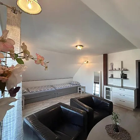 Alena 3* Velké Bílovice